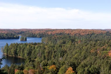 Sonbahar Algonquin Ulusal Parkı 'ndaki Önbellek Gölü manzarası. Ontario. Kanada
