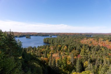Sonbahar Algonquin Ulusal Parkı 'ndaki Önbellek Gölü manzarası. Ontario. Kanada