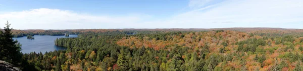 Sonbahar Algonquin Ulusal Parkı Önbellek Gölü Panoraması Ontario Kanada — Stok fotoğraf