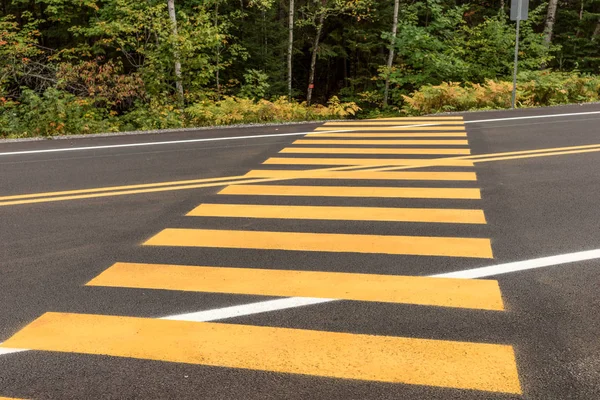 Пішохідний Перехід Жовті Смуги Темній Вулиці — стокове фото
