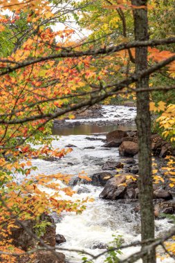 Sonbaharda örgü şelalesi. Mont Tremblant Ulusal Parkı. Hint Yazı. Quebec 'te. Kanada