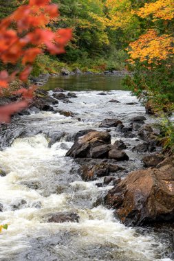 Sonbaharda örgü şelalesi. Mont Tremblant Ulusal Parkı. Hint Yazı. Quebec 'te. Kanada