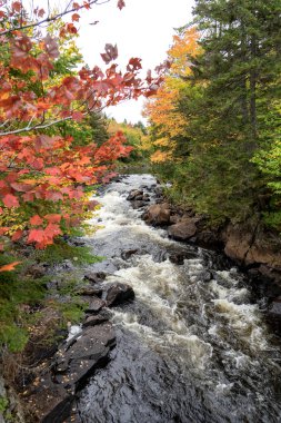 Sonbaharda örgü şelalesi. Mont Tremblant Ulusal Parkı. Hint Yazı. Quebec 'te. Kanada