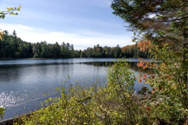 Sonbahar Sahnesi. Algonquin taşra parkında göl. Ontario. Kanada