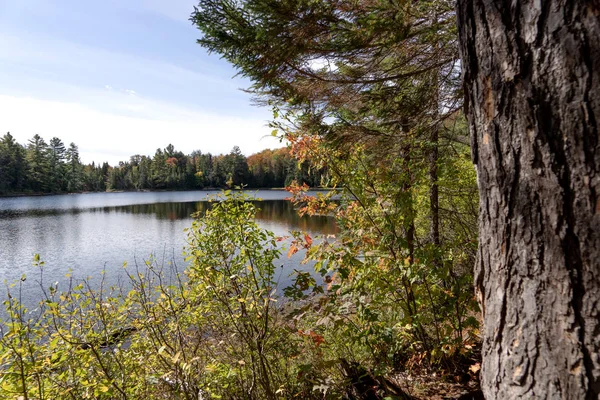 Herbstliche Szenerie See Algonquin Provinzpark Ontario Kanada — Stockfoto