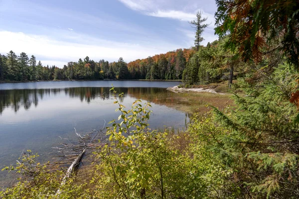 Herbstliche Szenerie See Algonquin Provinzpark Ontario Kanada — Stockfoto
