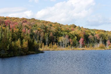 Göl ve sonbahar orman manzarası. La Mauricie Ulusal Parkı. Quebec 'te. Kanada
