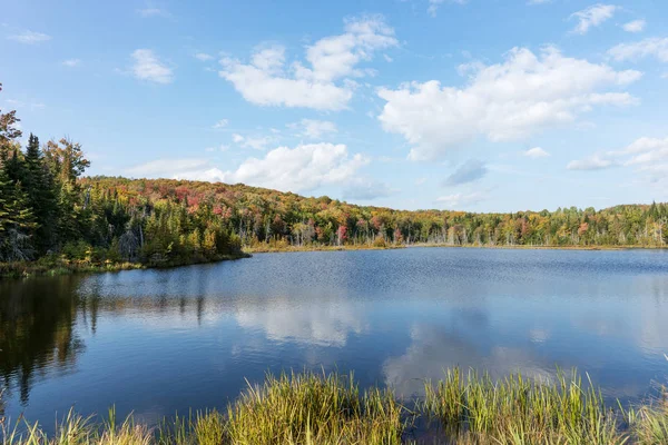 See Und Herbstliche Waldlandschaft Mauricie Nationalpark Quebec Kanada — Stockfoto