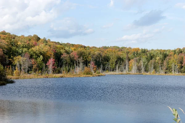 Lago Paisaje Forestal Otoñal Parque Nacional Mauricie Quebec Canadá — Foto de Stock