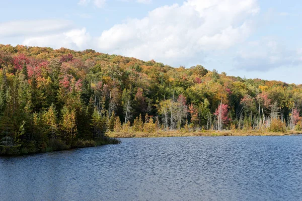 See Und Herbstliche Waldlandschaft Mauricie Nationalpark Quebec Kanada — Stockfoto