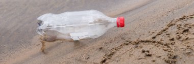 Çöpe atılmış plastik şişe kumsalda yatıyor.
