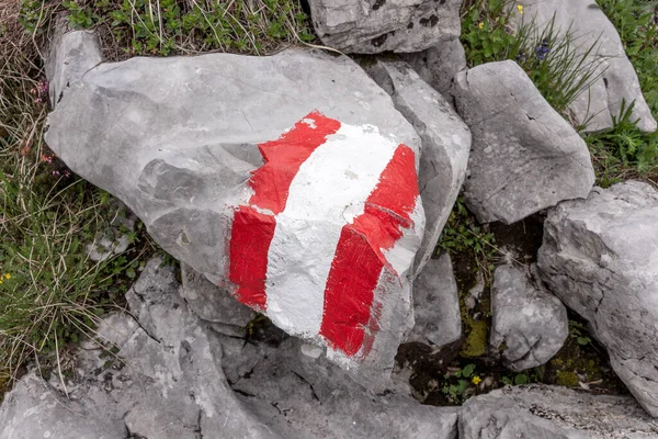 Firme Una Piedra Para Forma Correcta Una Zona Senderismo Alpes —  Fotos de Stock