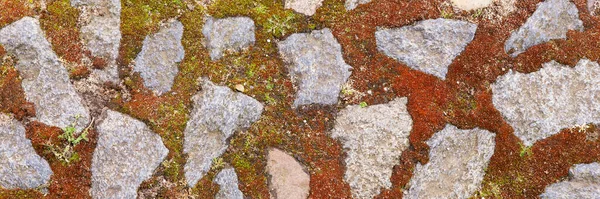 Imagem Panorâmica Pavimento Cobblestone Com Musgo Pedra Textura Fundo — Fotografia de Stock