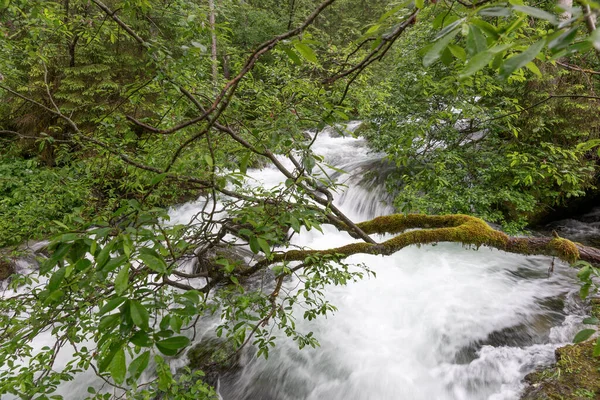 Lunga Esposizione Fiume Schwarzbach Vicino Alla Cascata Gollinger Austria — Foto Stock