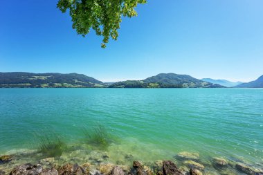 Avusturya 'daki güzel Mondsee gölü manzarası. Avrupa