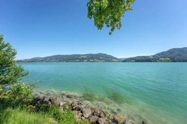 Avusturya 'daki güzel Mondsee gölü manzarası. Avrupa