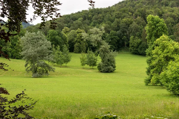 Parco Con Prato Alberi Sfondo Naturale — Foto Stock