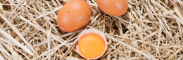 Imagen Panorámica Huevos Pollo Paja Con Medio Huevo Crudo Roto — Foto de Stock