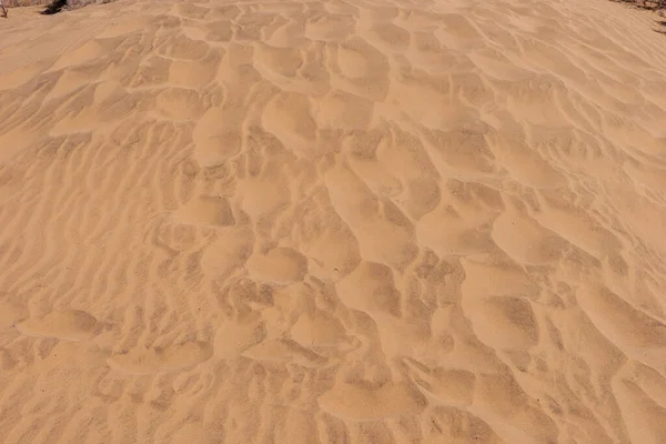 Footprints Sandy Desert Texture Background Travel Concept — Stock Photo, Image