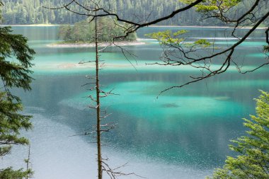 Ağaçların arasından Eibsee 'ye, Almanya' nın Bavyera Alpleri 'ndeki dağ gölüne bak.