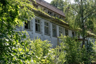 Ağaçları olan terk edilmiş bir binanın cephesi
