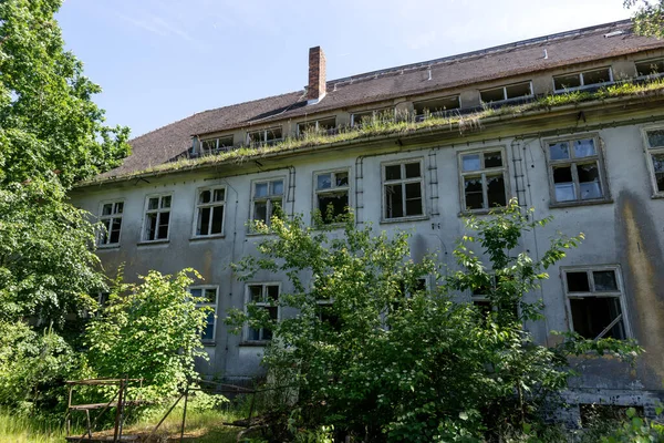 Ağaçları olan terk edilmiş bir binanın cephesi