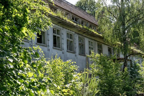 Ağaçları olan terk edilmiş bir binanın cephesi