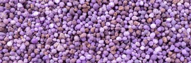 Baharda ya da sonbaharda çimlere uygulamak için mor mineral gübresi. Panoramik resim
