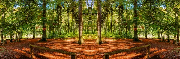 Πολύχρωμο Πανόραμα Δάσος Φθινόπωρο Μεγάλη Πανοραμική Εικόνα — Φωτογραφία Αρχείου