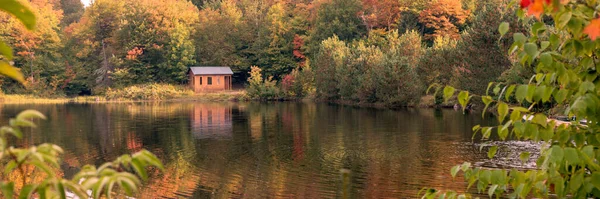 Осенний Лесной Пейзаж Отражения Озера Панорама — стоковое фото