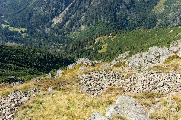 Utsikt Över Dalen Från Det Högsta Berget Giant Mountains Tjeckien — Stockfoto