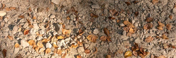 Steiniger Fußweg Mit Trockenem Laub Herbst Panorama Bild — Stockfoto