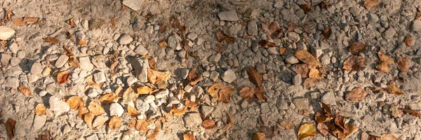 Steenpad Met Droge Bladeren Herfst Panoramisch Beeld — Stockfoto