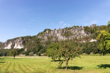 Sakson İsviçre 'deki Bastei Kayalıkları' na bakın. Önünde elma ağacı var. Almanya