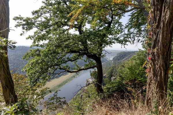 Vista Desde Las Rocas Bastei Hasta Río Elba Sajonia Suiza —  Fotos de Stock