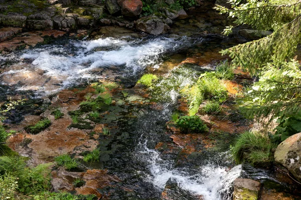 Paesaggio Meraviglioso Con Muschio Pietre Nel Fiume Montagna Sfondo Naturale — Foto Stock