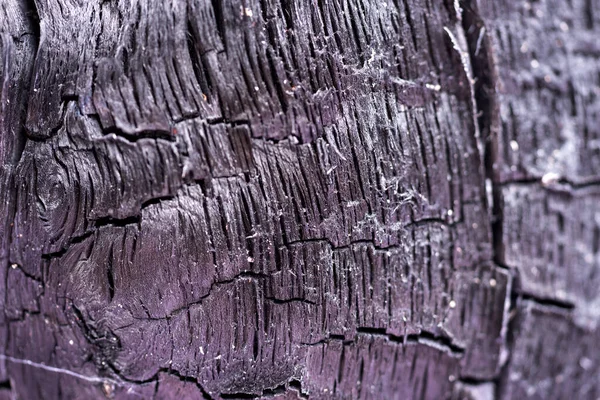 Superficie Del Carbone Struttura Arborea Carbonizzata Legno Bruciato Sfondo Nero — Foto Stock
