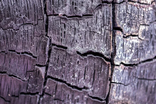 Superficie Del Carbone Struttura Arborea Carbonizzata Legno Bruciato Sfondo Nero — Foto Stock