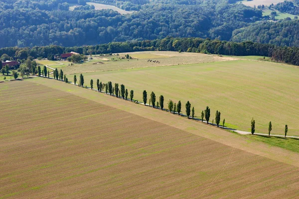 Yol Manzarası Ağaçlar Geniş Tarlalar Yukarıdan Görüntüle — Stok fotoğraf