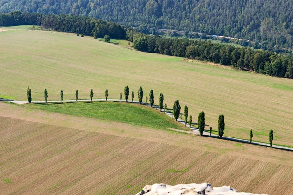 Vista Dall Alto Della Strada Con Alberi Viale Grandi Campi — Foto Stock