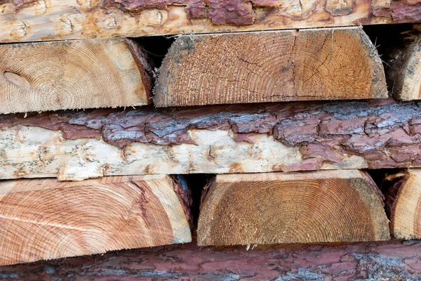 Čerstvě Řezané Dřevo Hromadě Lese — Stock fotografie
