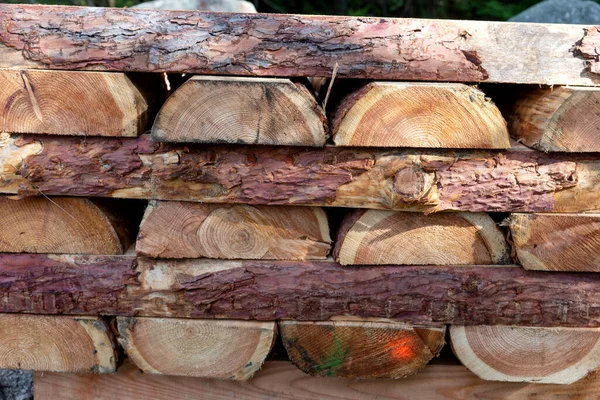Čerstvě Řezané Dřevo Hromadě Lese — Stock fotografie