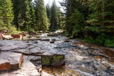 River White Elbe, Pindlerv Mln yakınlarındaki Krkonose Milli Parkı 'nda. Çek Cumhuriyeti