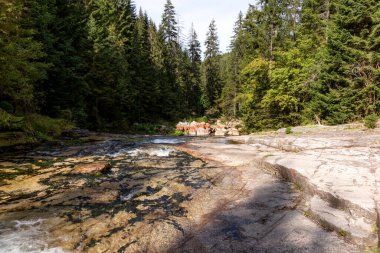 River White Elbe, Pindlerv Mln yakınlarındaki Krkonose Milli Parkı 'nda. Çek Cumhuriyeti