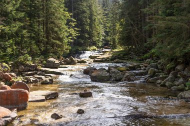 River White Elbe, Pindlerv Mln yakınlarındaki Krkonose Milli Parkı 'nda. Çek Cumhuriyeti
