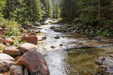 River White Elbe, Pindlerv Mln yakınlarındaki Krkonose Milli Parkı 'nda. Çek Cumhuriyeti
