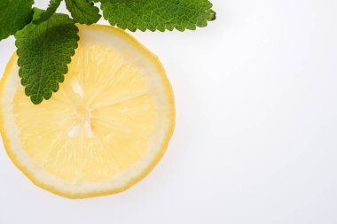 Limon yapraklı dilimlenmiş sarı limon (Melissa officinalis)