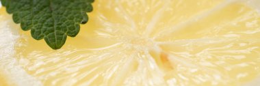 Panorama. Limon yapraklı dilimlenmiş sarı limon (Melissa officinalis)