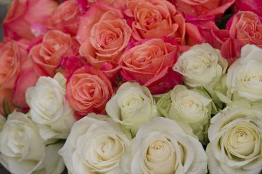  Arka planda güzel çiçeklerin fotoğrafı  