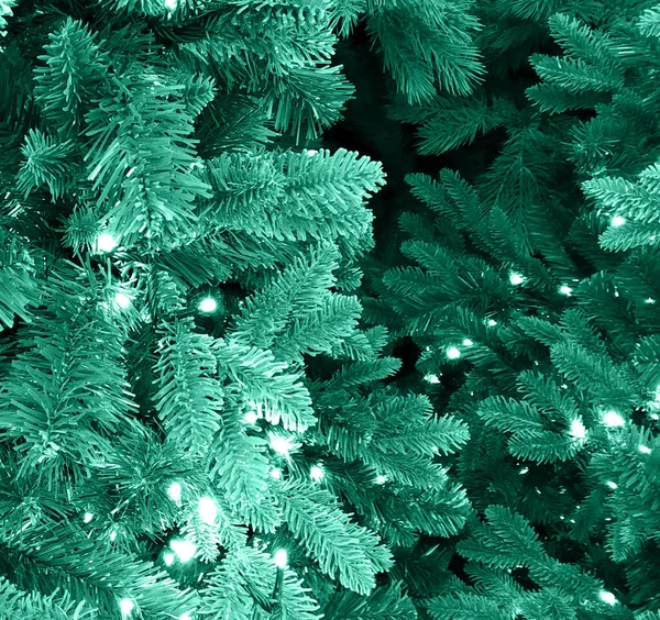 Kerst achtergrond van de takken van groene sparren. — Stockfoto